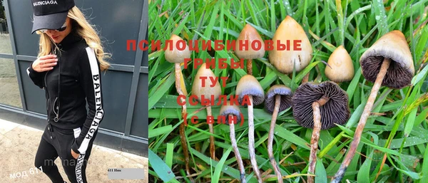 метадон Медногорск