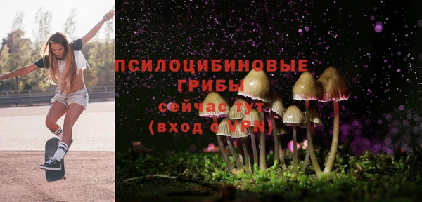 mdpv Мегион