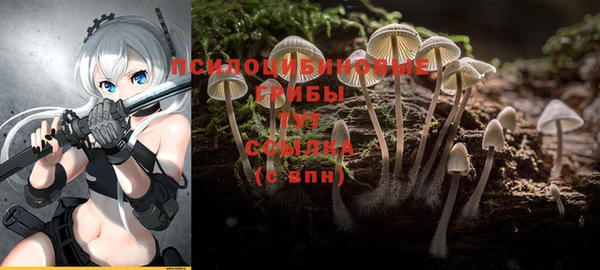 сатива Медвежьегорск