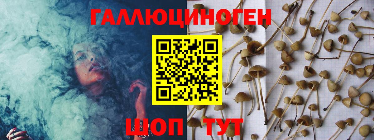 Псилоцибиновые грибы ЛСД  Псилоцибиновые грибы ЛСД  Вход с VPN  Армавир 